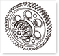 Spur Gear